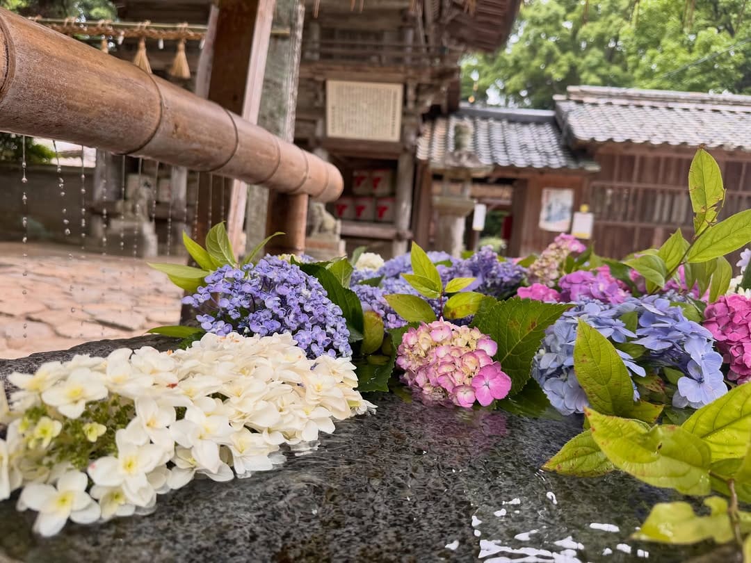 Post 4 by 櫻井神社 on Instagram (carousel)