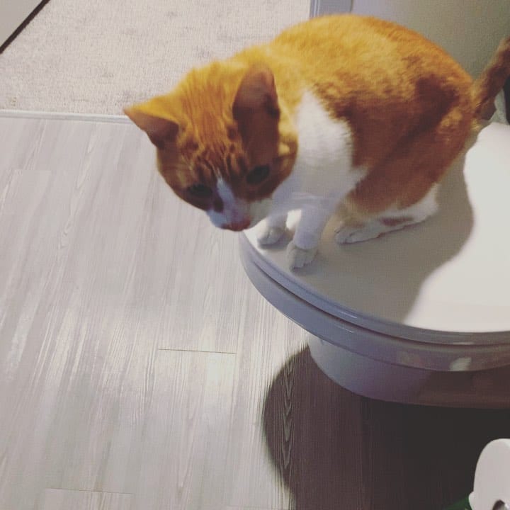 Post 4 by Mishu on Instagram (video)