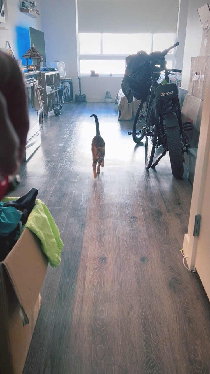 Post 1 by Mishu on Instagram (video)