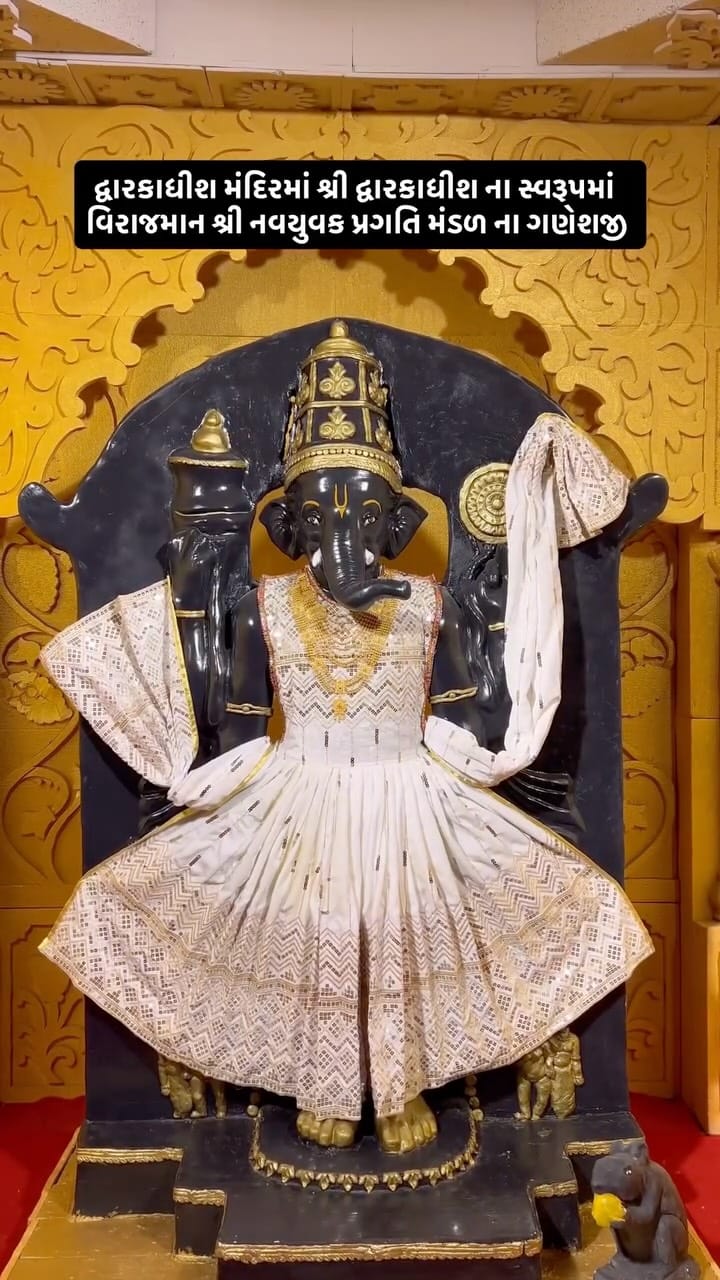 Post 10 by RAHUL VASAVA on Instagram (video)