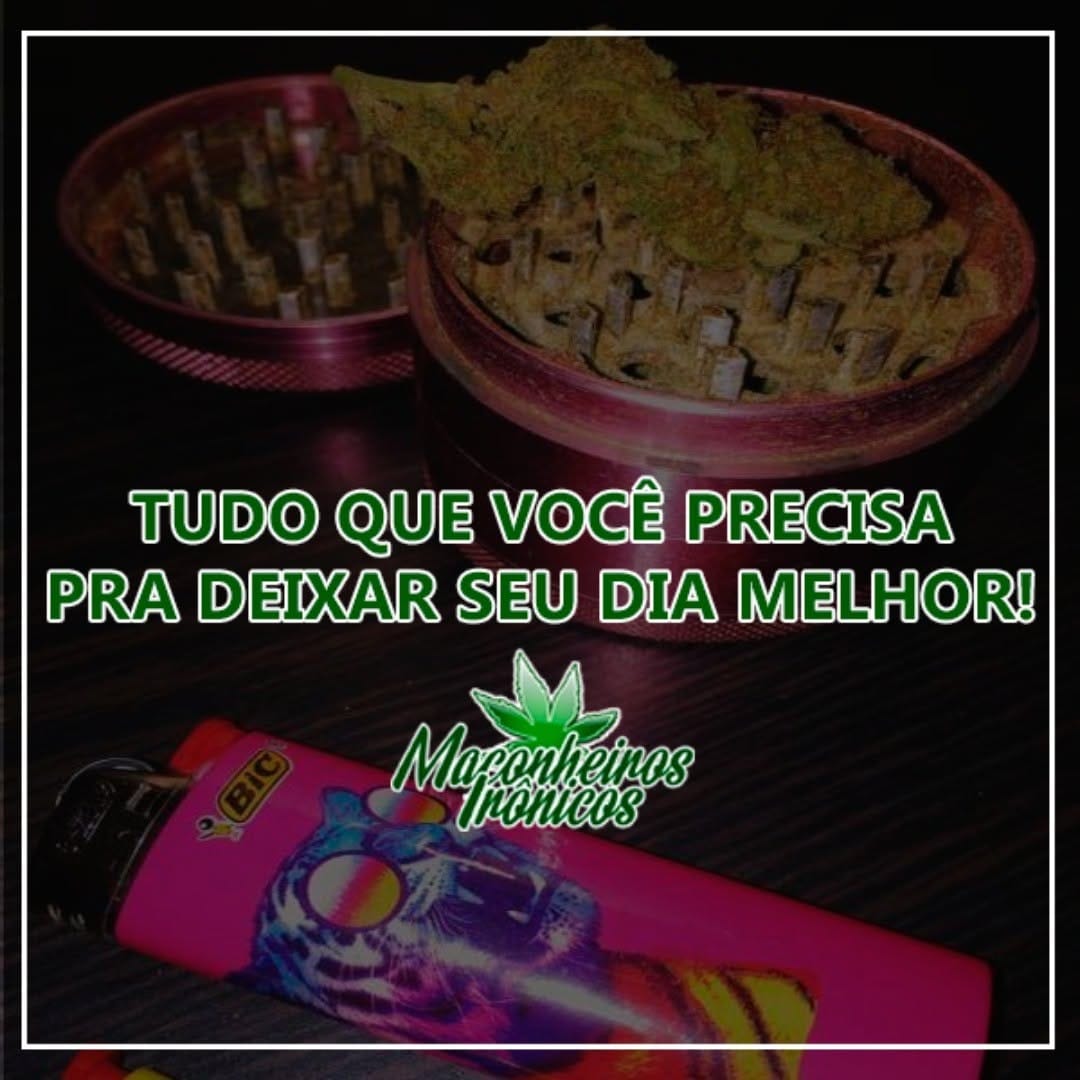 Post 4 by Maconheiros Irônicos on Instagram (image)
