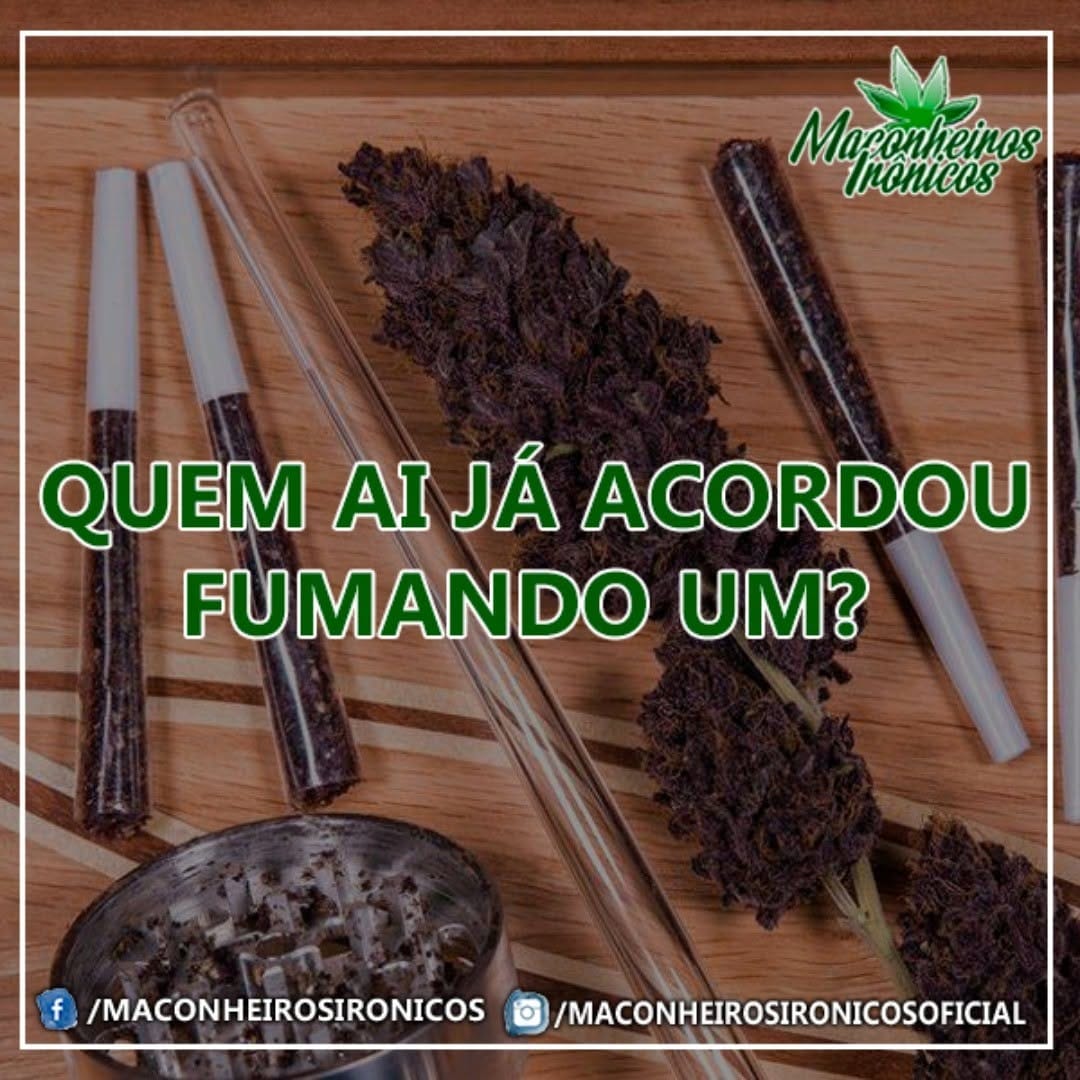 Post 3 by Maconheiros Irônicos on Instagram (image)