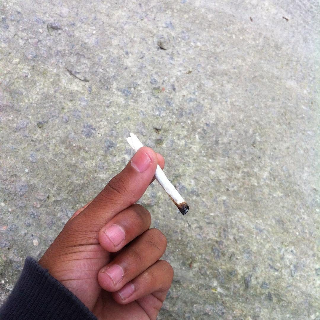 Post 6 by Maconheiros Irônicos on Instagram (image)