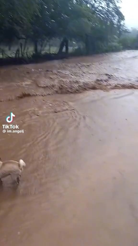 Post 1 by 🇲🇽MexicanMemes🇲🇽 on Instagram (video)