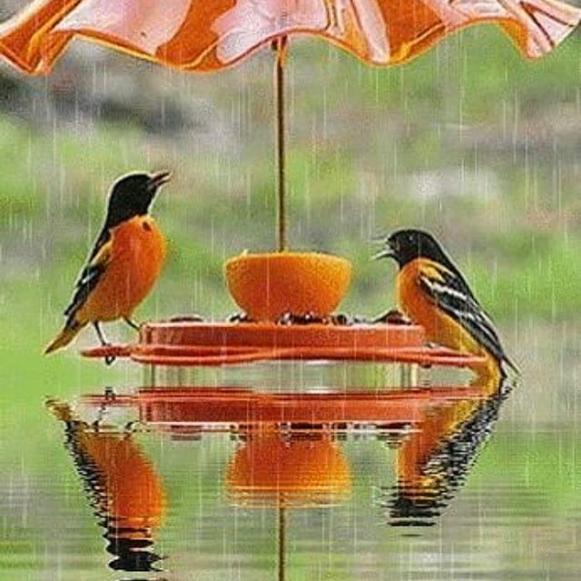 Post 4 by Reflection Magazine on Instagram (image)