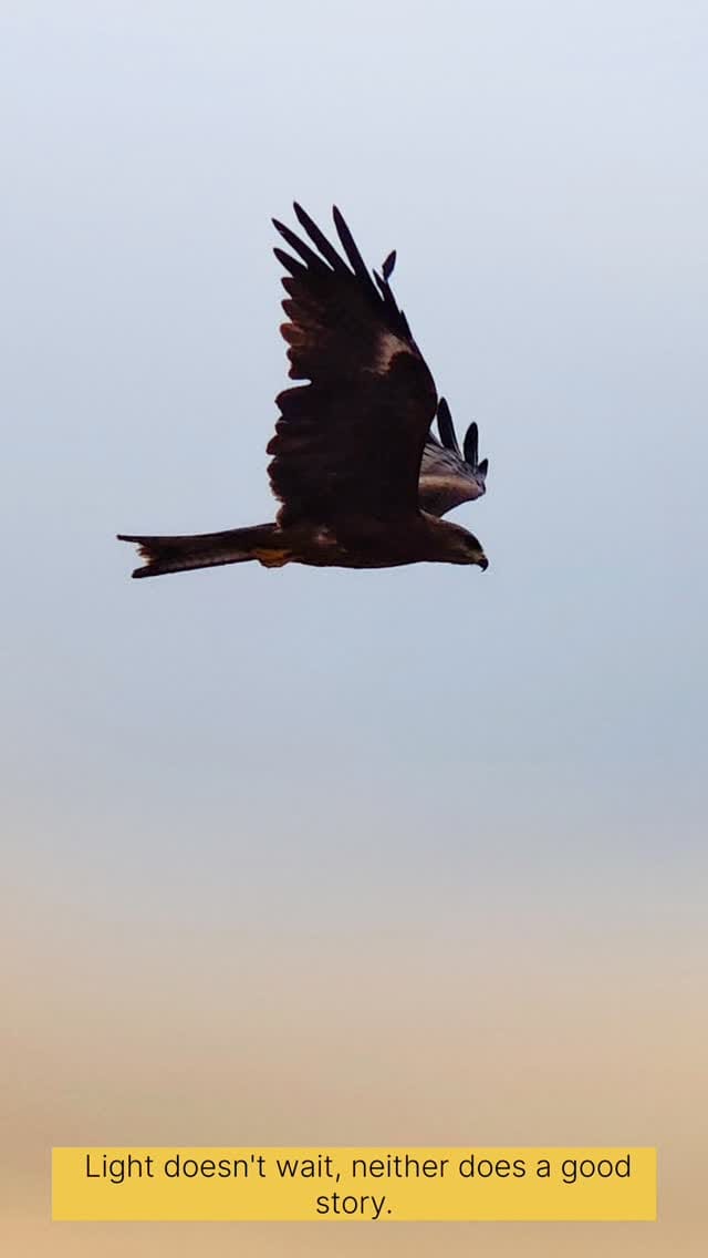 Post 6 by Rohith Bhanuprakash on Instagram (video)