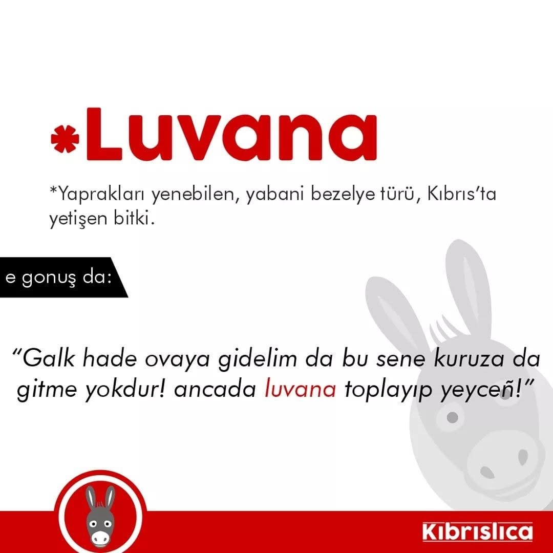 Post 8 by kibrislica on Instagram (image)