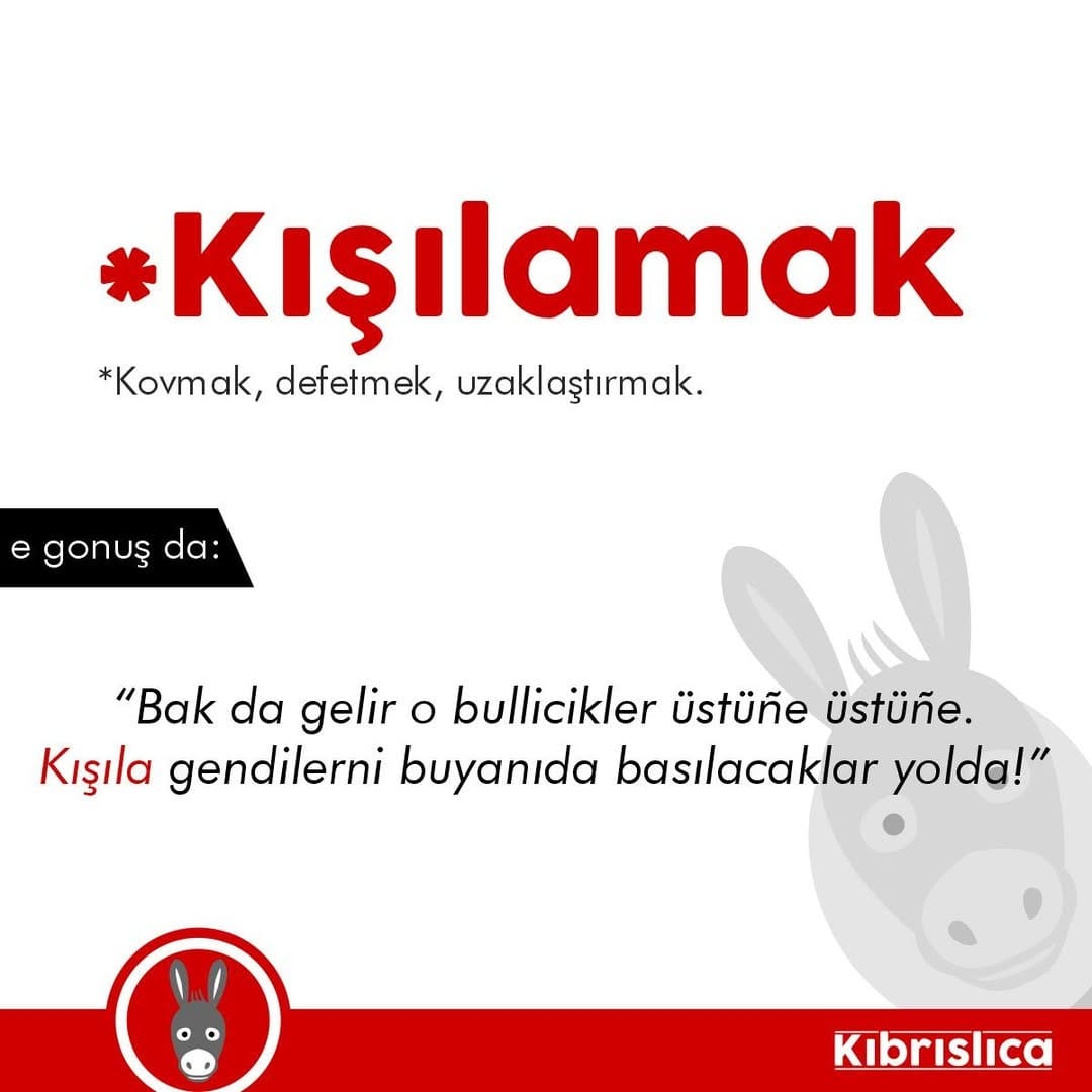Post 7 by kibrislica on Instagram (image)