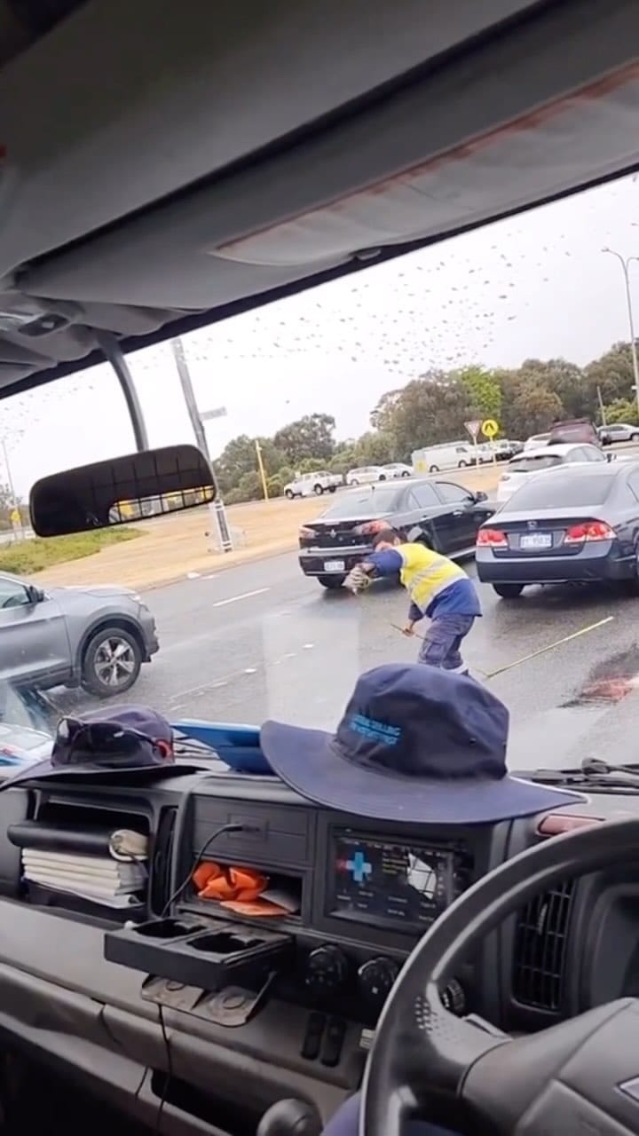 Post 7 by TruckRoyal on Instagram (video)