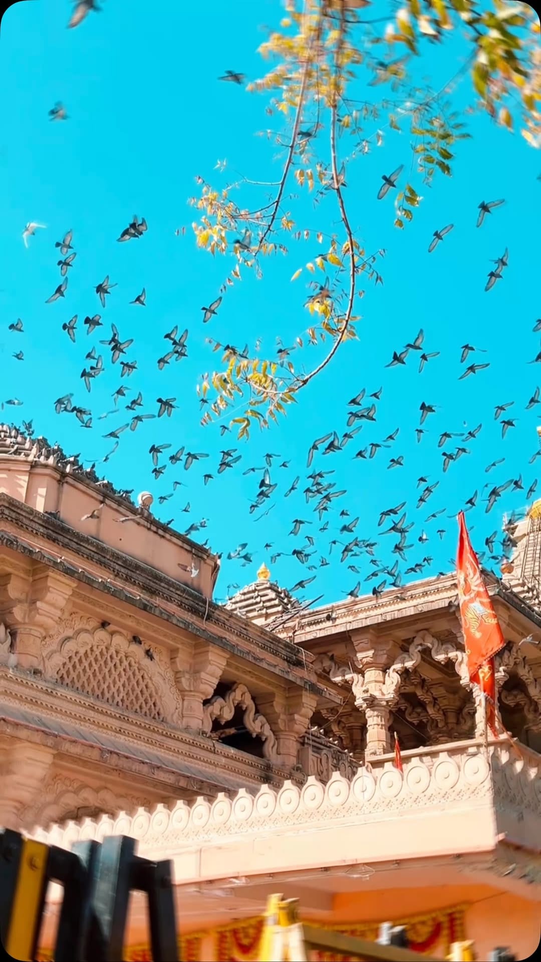 Post 2 by श्रीं साँवलिया सेठ मंदिर मंडफ़िया 🛕🚩 on Instagram (video)