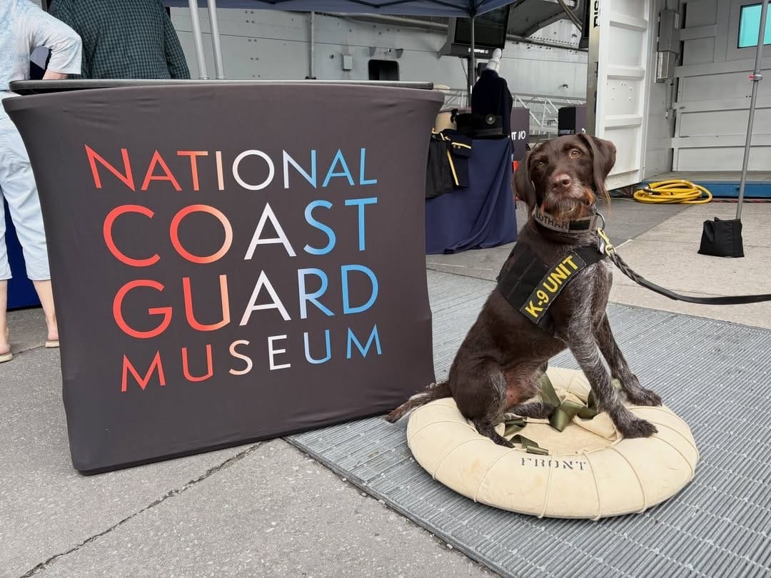 Post 1 by USCG K-9 Unofficial on Instagram (image)
