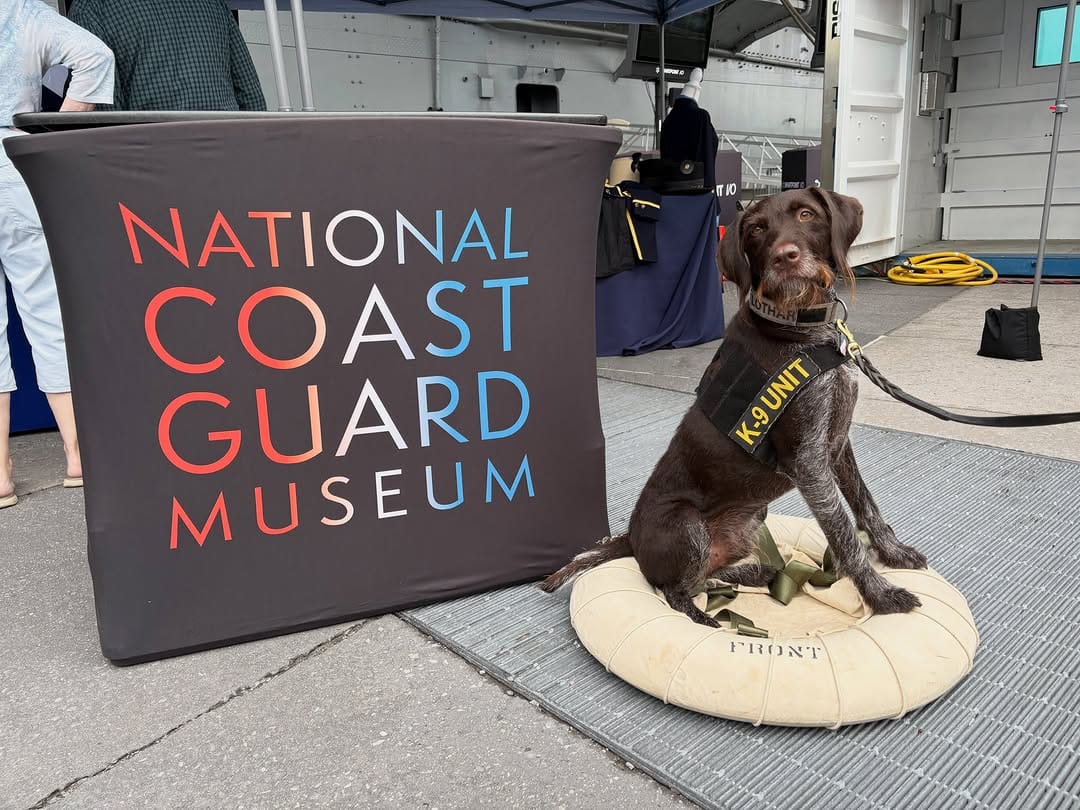 Post 2 by USCG K-9 Unofficial on Instagram (image)