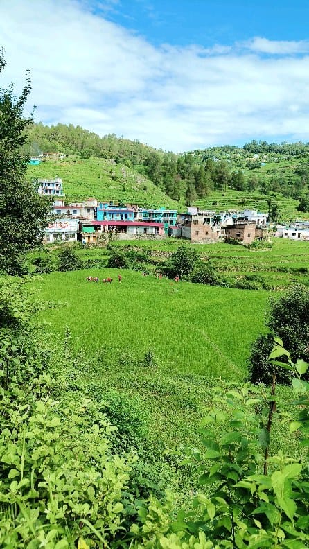 Post 5 by Uttarakhand Darshan on Instagram (video)