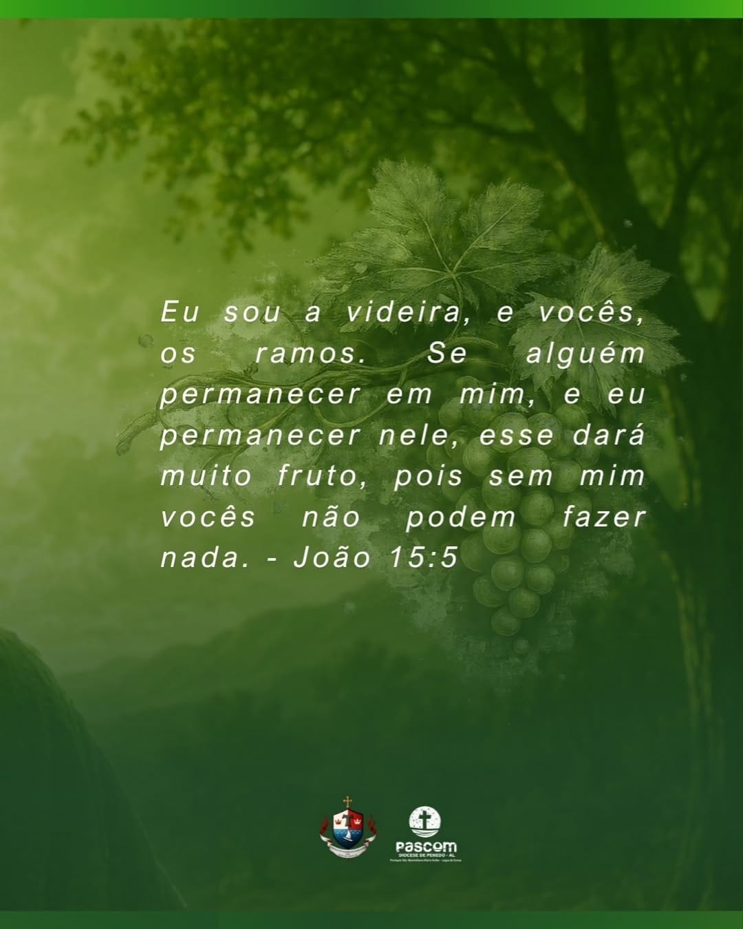 Post 10 by Paróquia São Maximiliano Kolbe on Instagram (image)