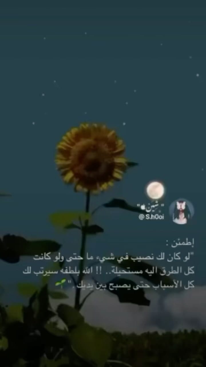 Post 8 by 「🇮🇶」 on Instagram (video)