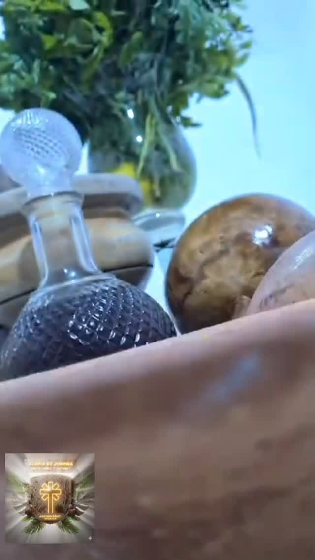 Post 10 by ALDEIA DE JUREMA - Mestre Chiquinho Do Maranhão on Instagram (video)