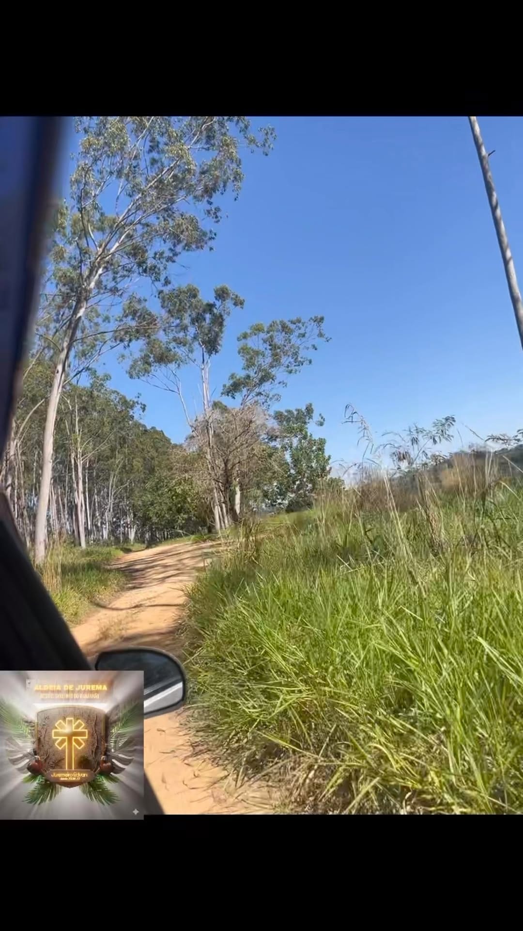 Post 2 by ALDEIA DE JUREMA - Mestre Chiquinho Do Maranhão on Instagram (video)