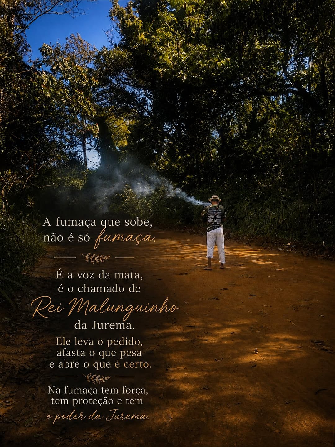 Post 3 by ALDEIA DE JUREMA - Mestre Chiquinho Do Maranhão on Instagram (image)