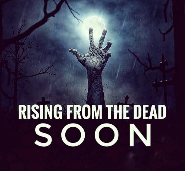Post 8 by Spooky Gals on Instagram (image)
