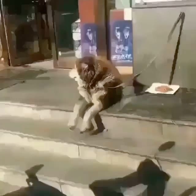 Post 6 by Cute Puppies 🐶 on Instagram (video)