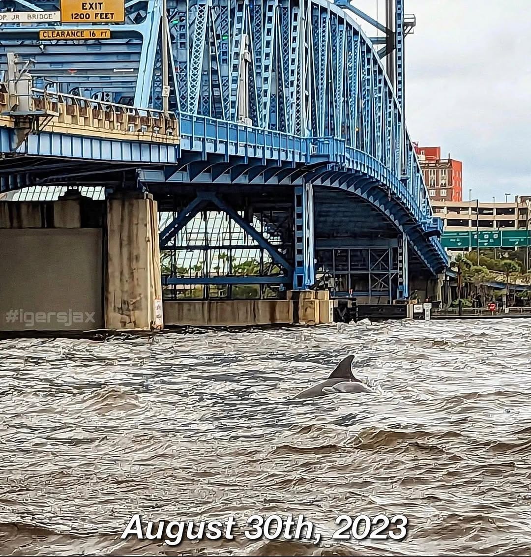 Post 4 by Instagramers Jacksonville on Instagram (carousel)