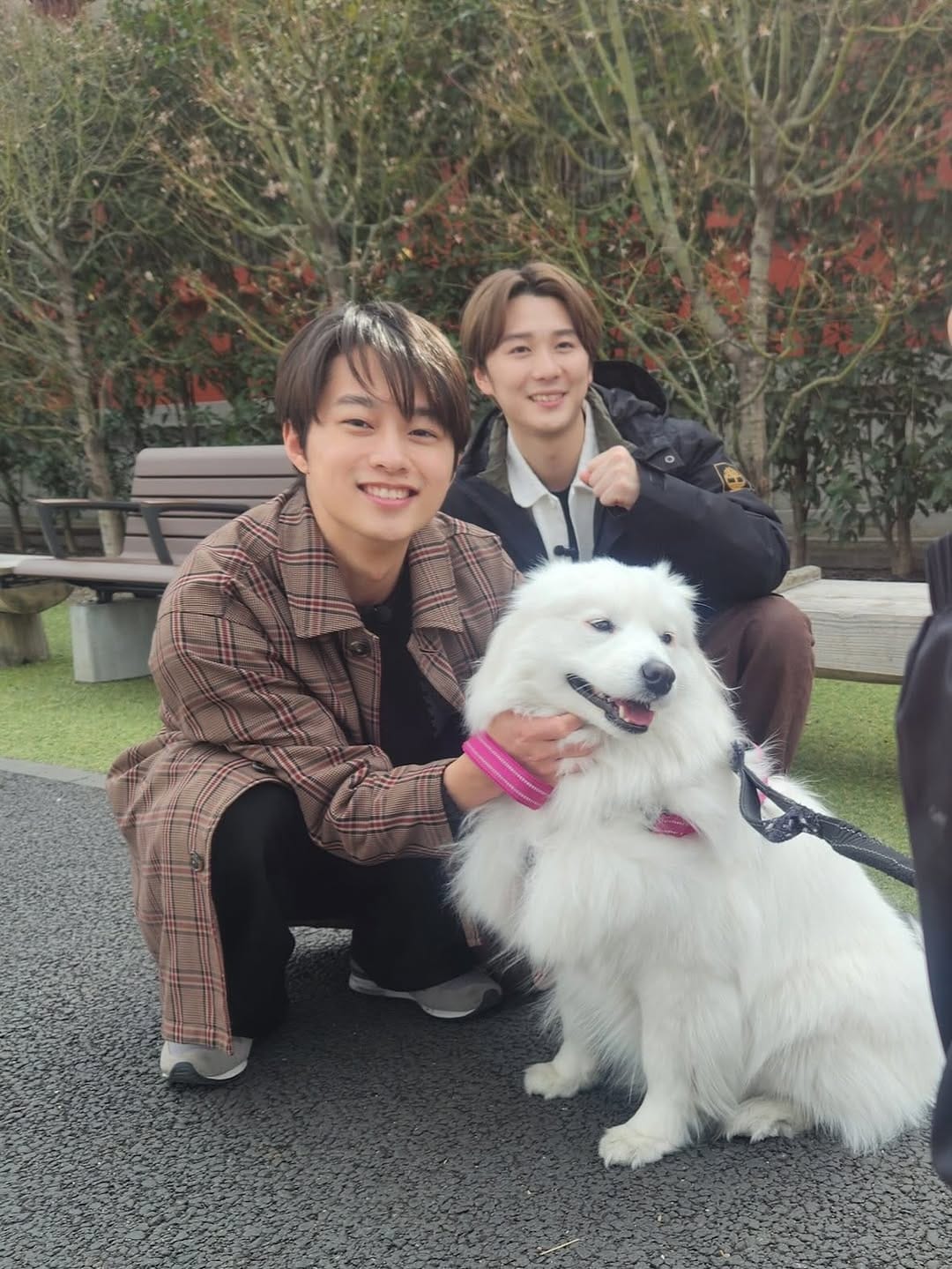 Post 9 by 青山凌大 on Instagram (carousel)
