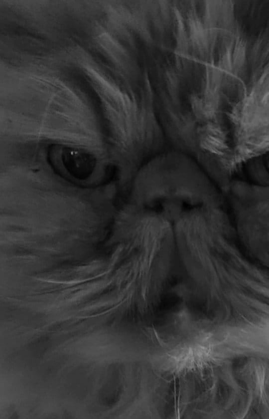 Post 6 by Sebastian & Catsby 🌏 on Instagram (video)