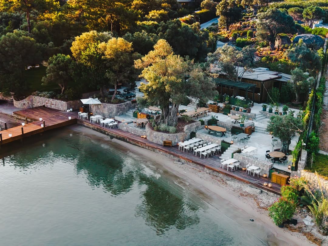 Post 1 by Pırıl Eskiyapan Cerrahoğlu on Instagram (carousel)