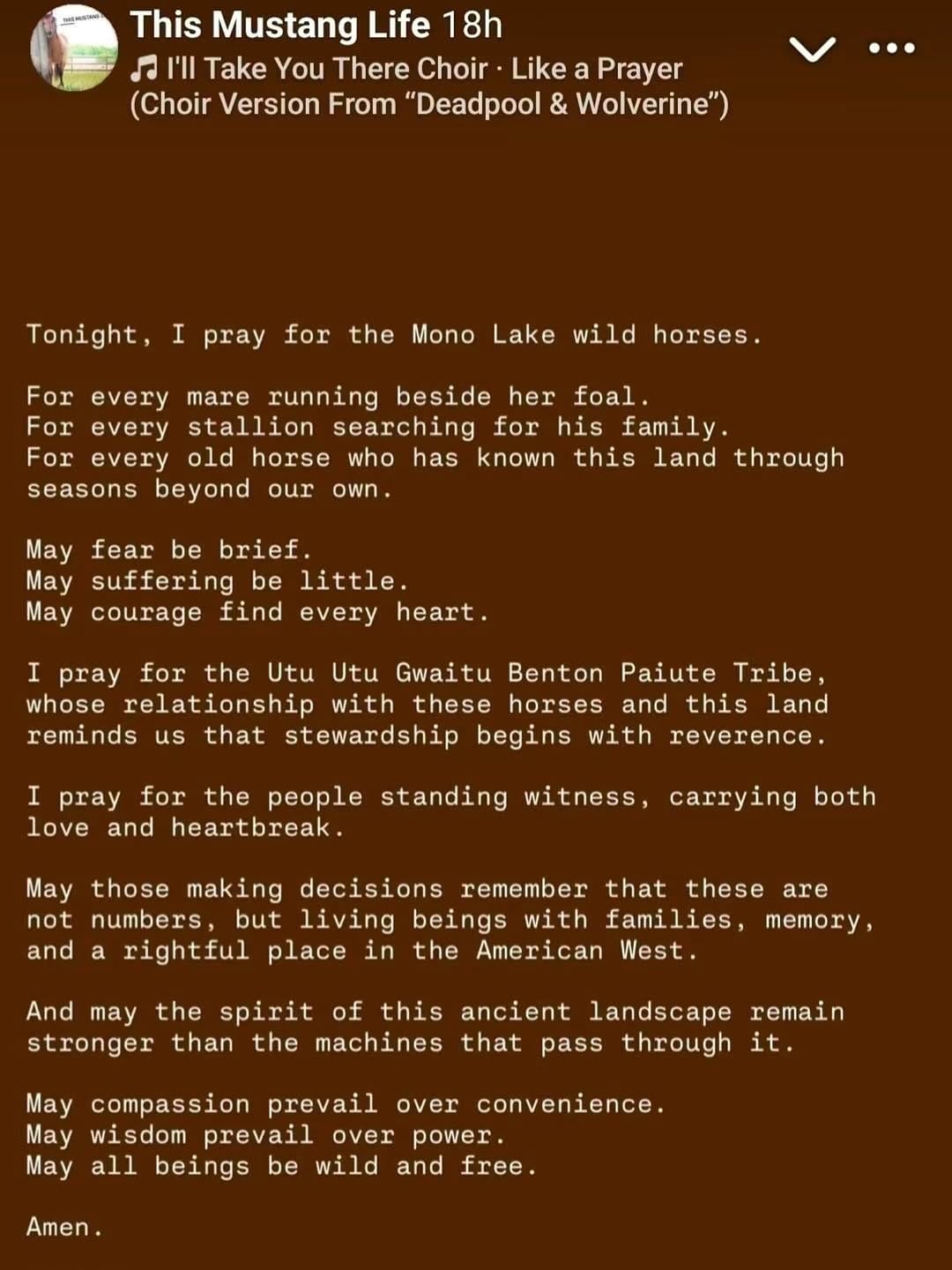 Post 9 by Salt River Wild Horse Mgt Grp on Instagram (image)
