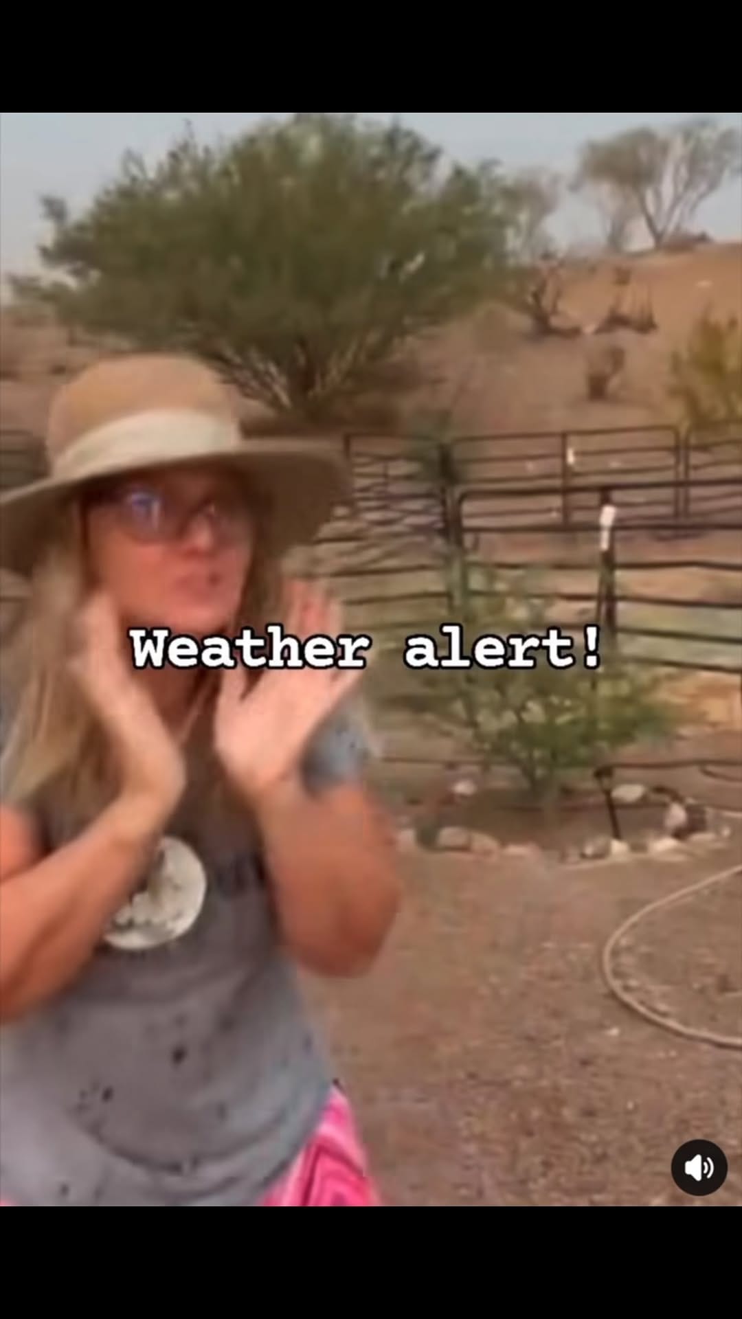 Post 5 by Salt River Wild Horse Mgt Grp on Instagram (video)