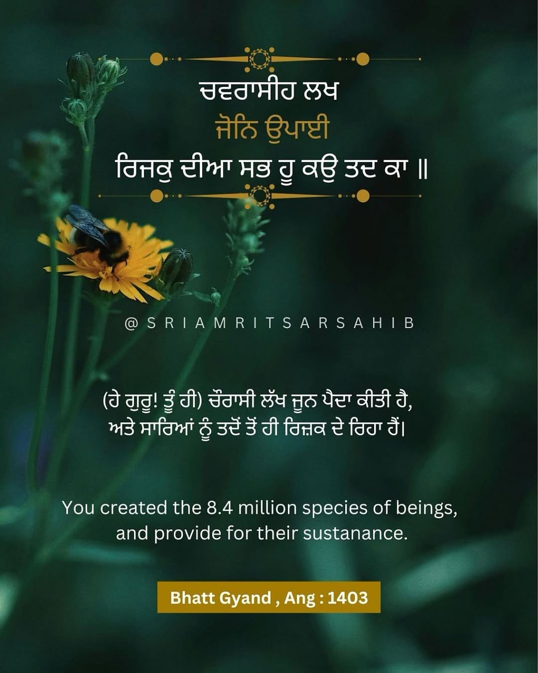 Post 3 by Satnam Waheguru on Instagram (image)