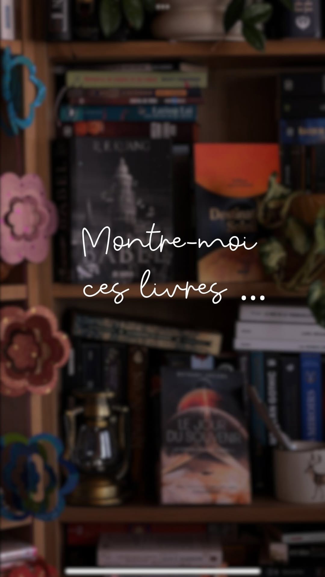 Post 9 by Les Chroniques du Hérisson on Instagram (video)