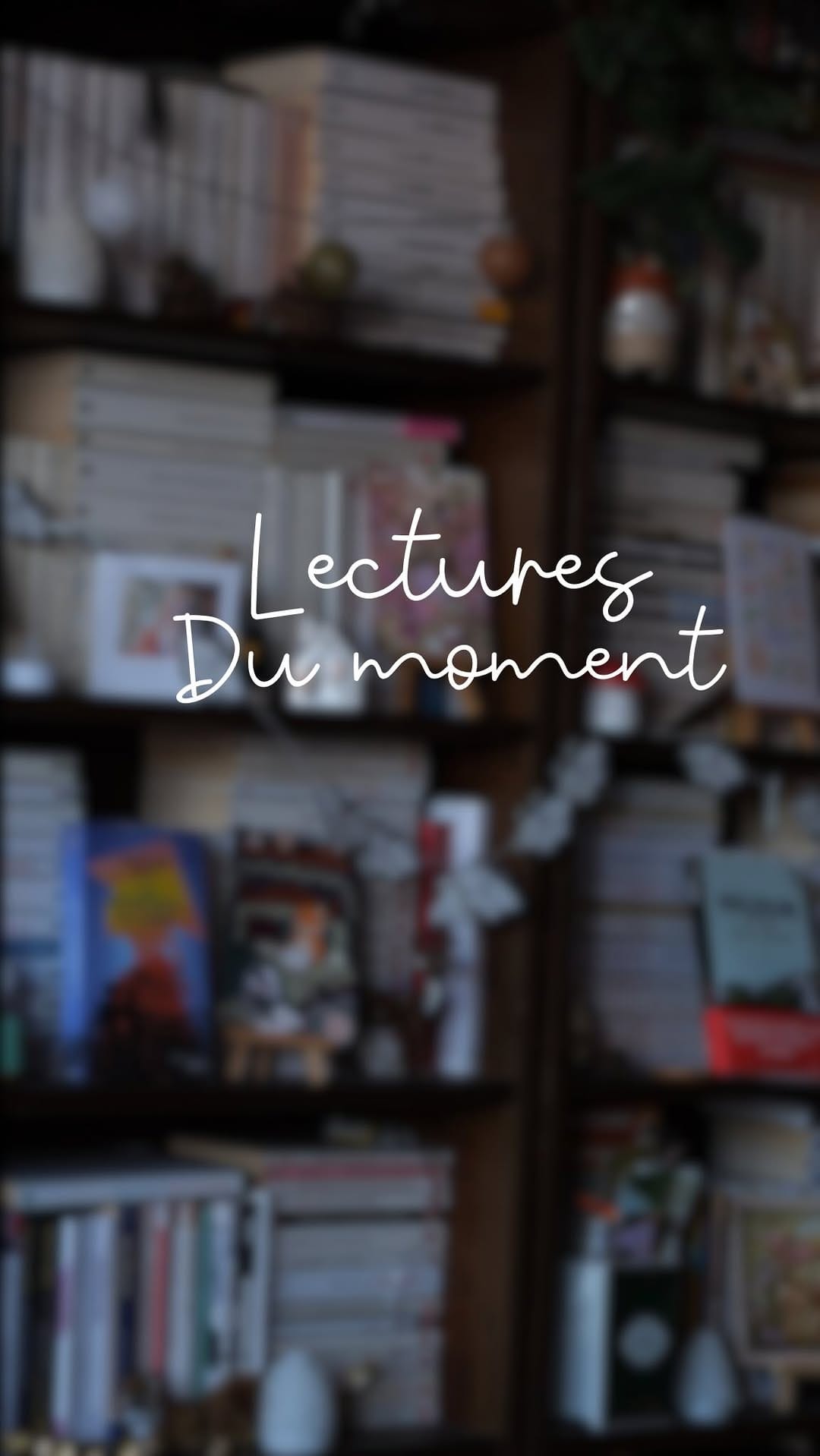 Post 8 by Les Chroniques du Hérisson on Instagram (video)
