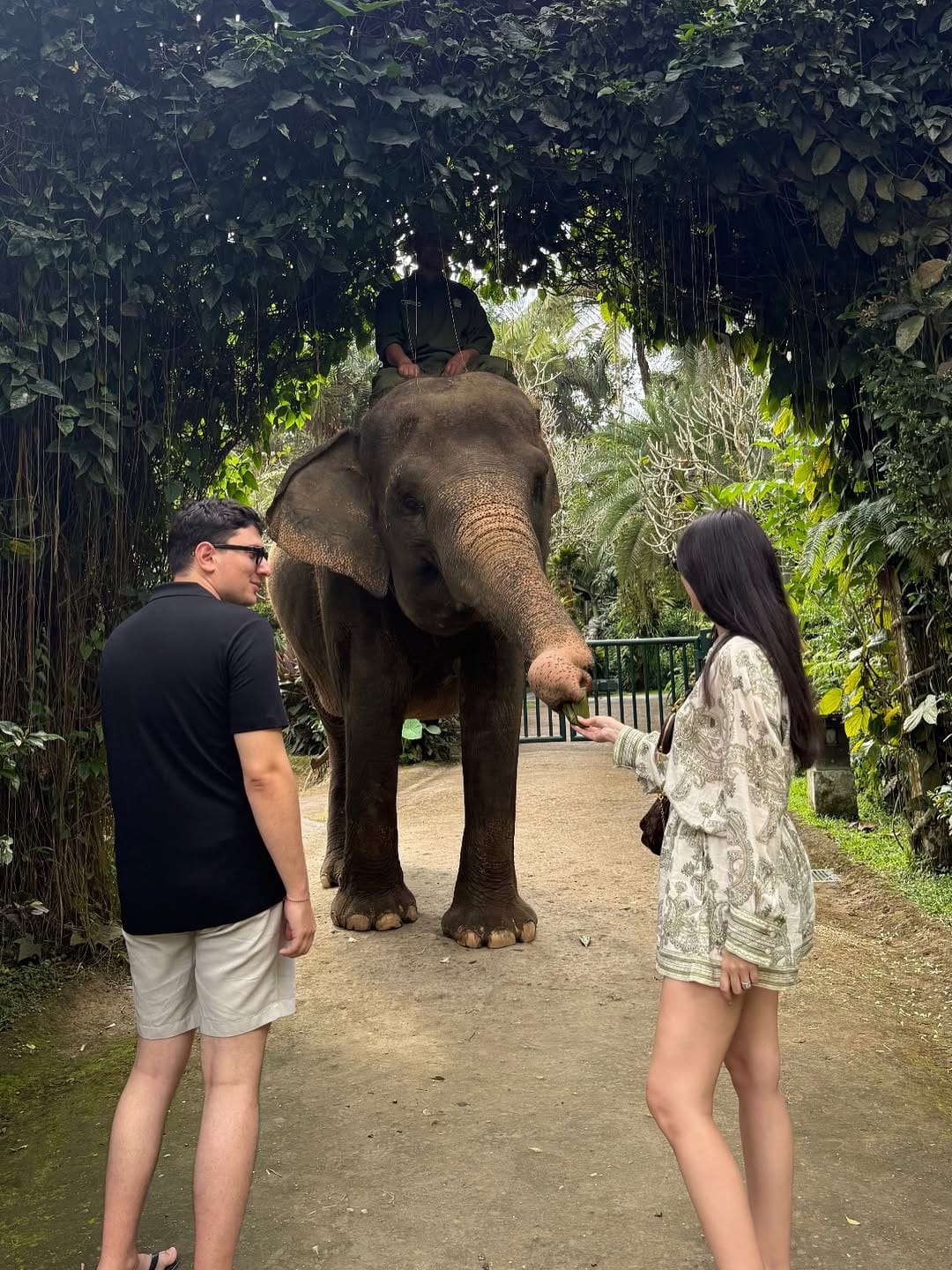 Post 3 by Zeynep Yaman on Instagram (carousel)