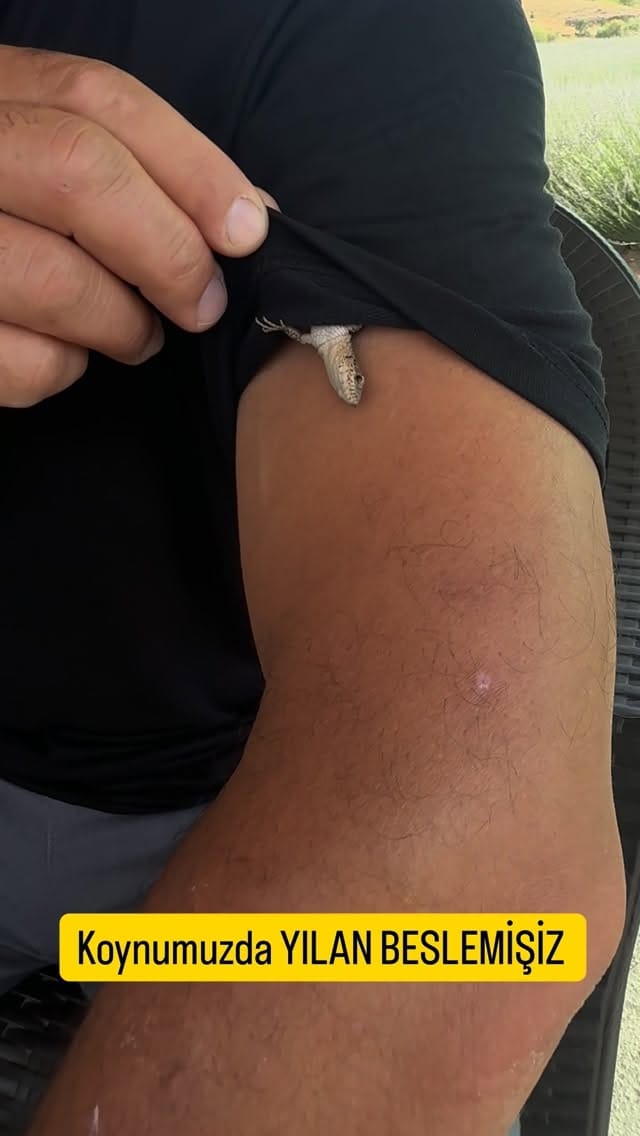 Post 6 by Hüseyin Bostancı on Instagram (video)