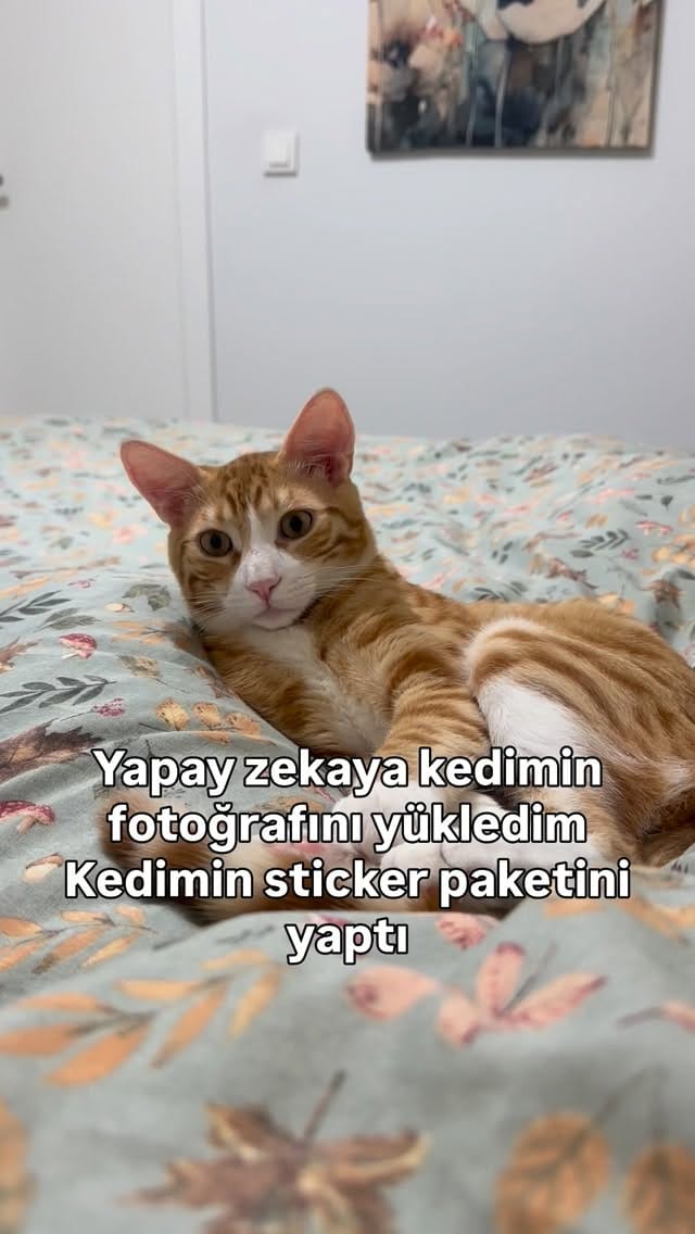 Post 7 by Deniz Soylu on Instagram (video)