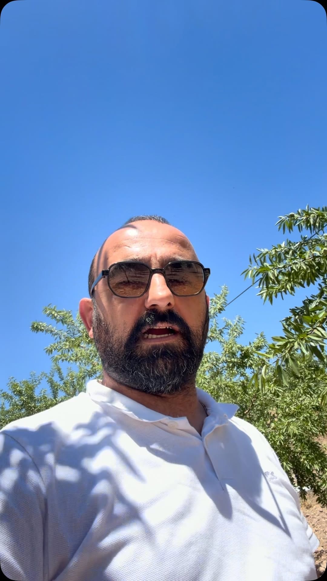 Post 2 by Sercan Erduran on Instagram (video)