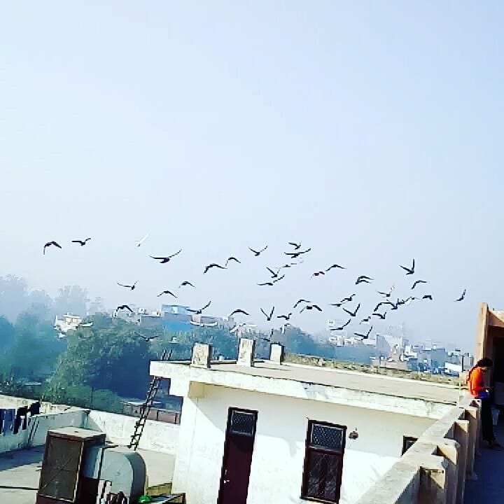 Post 9 by Proffessional Photographer on Instagram (video)
