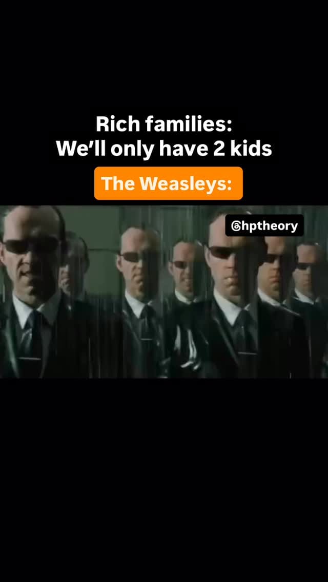 Post 6 by Harry Potter Theory - Silas K on Instagram (video)