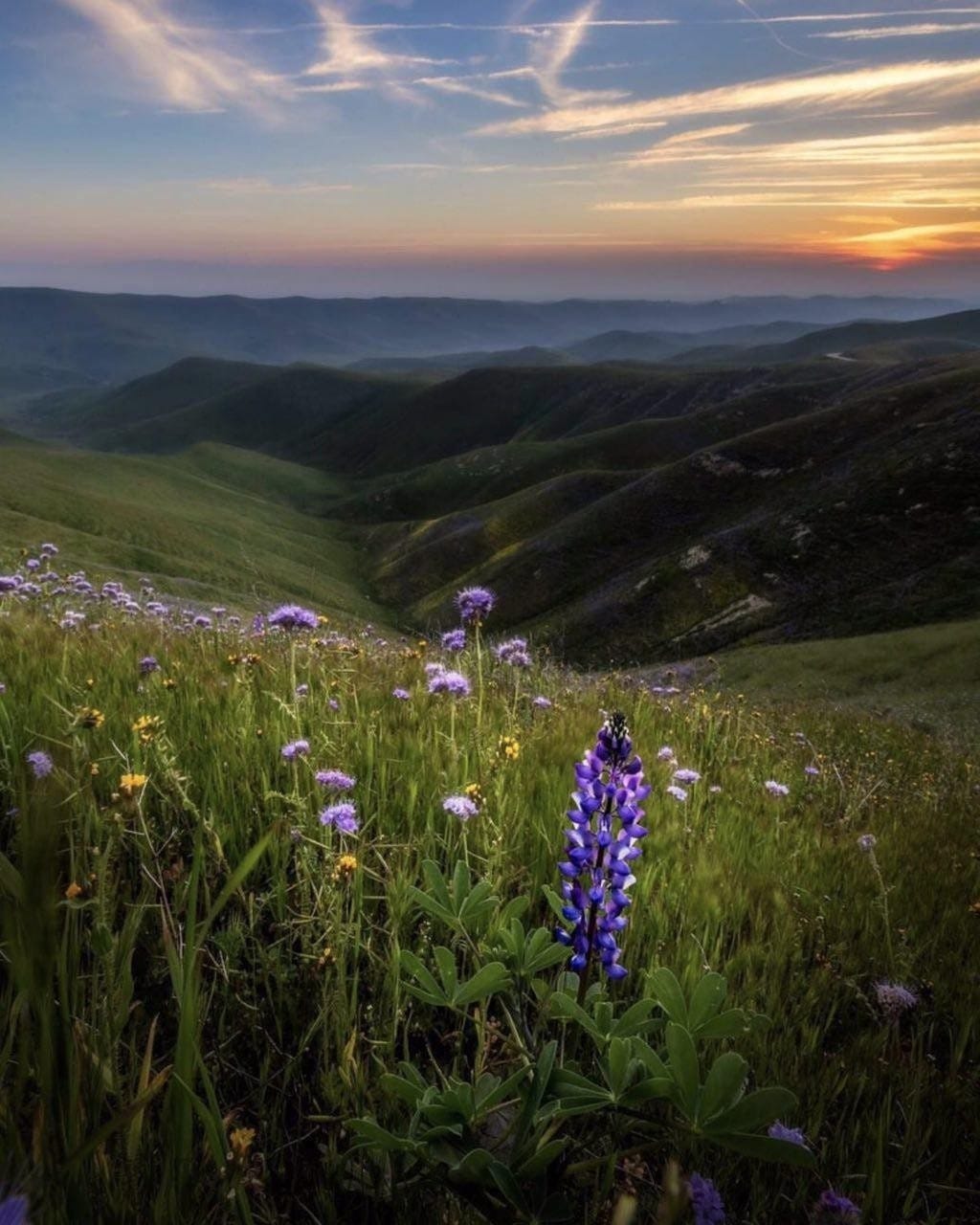 Post 4 by Travels.dream on Instagram (image)