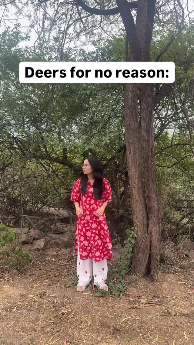 Post 5 by Prachi Rastogi on Instagram (video)