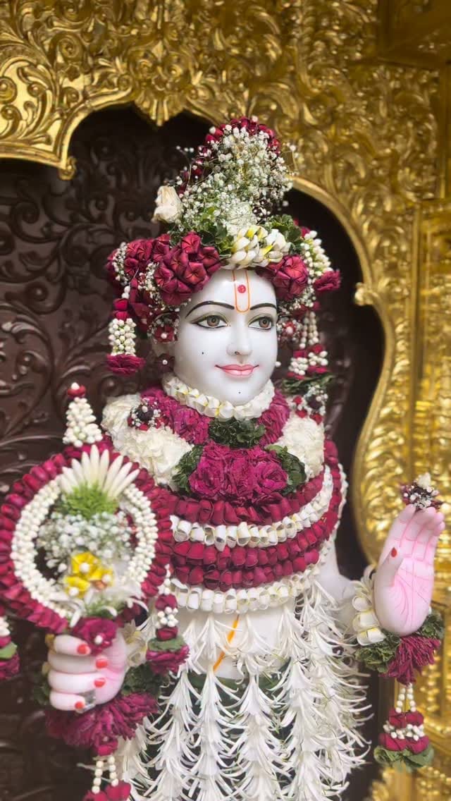 Post 7 by Shree Swaminarayan Mandir - Kalakunj on Instagram (video)