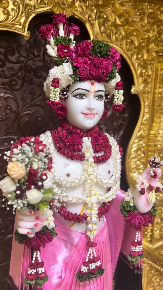 Post 8 by Shree Swaminarayan Mandir - Kalakunj on Instagram (video)