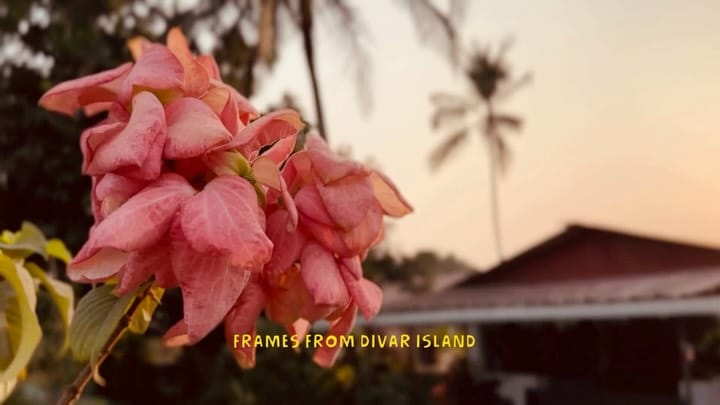 Post 7 by Panjim & Goa 🌴 on Instagram (carousel)