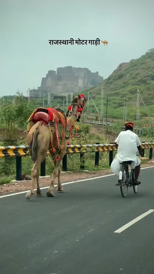 Post 2 by 𝗥𝗔𝗝𝗔𝗦𝗧𝗛𝗔𝗡 𝗦𝗧𝗢𝗥𝗜𝗘𝗦 on Instagram (video)