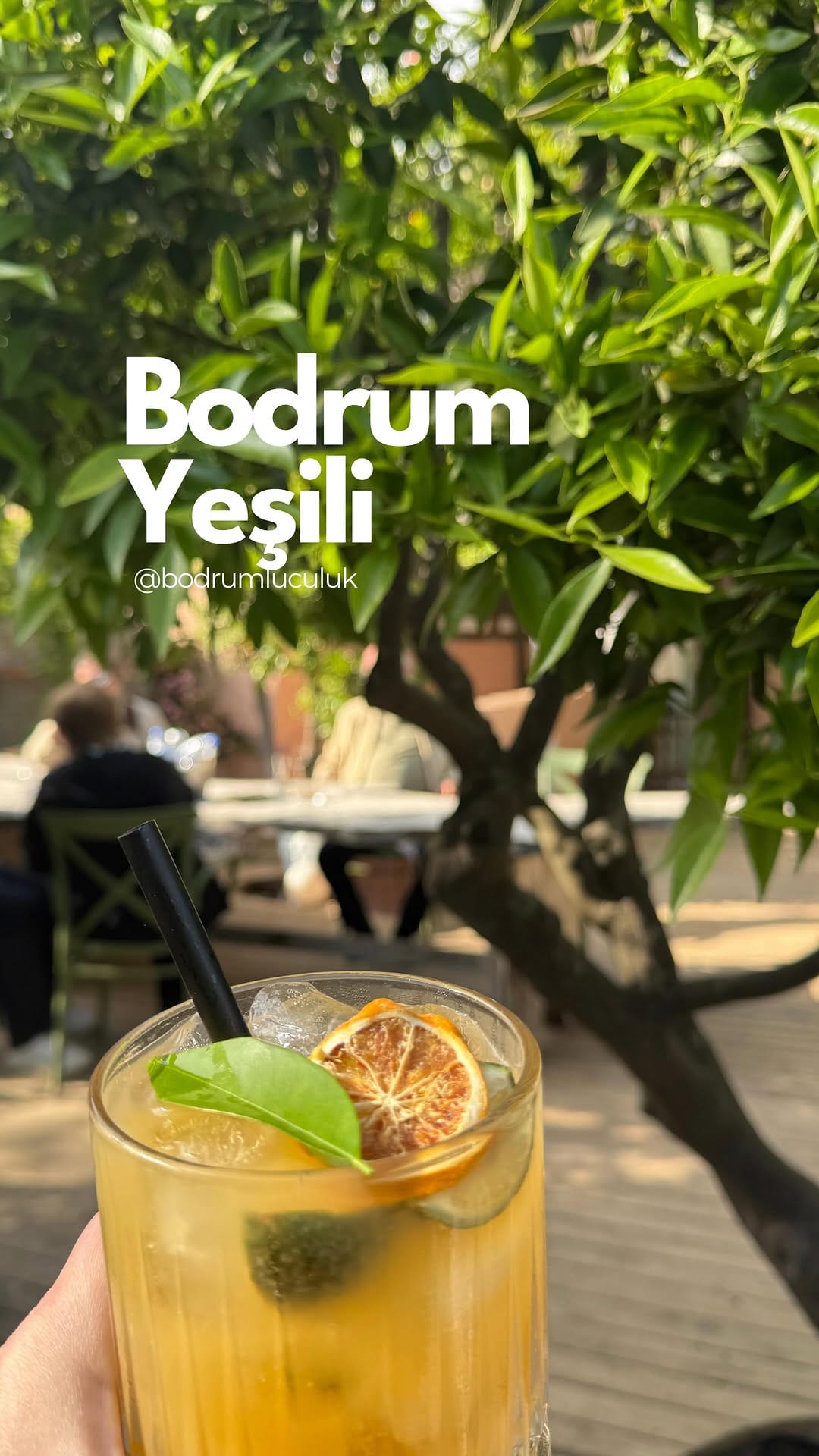 Post 8 by Bodrumluculuk on Instagram (video)