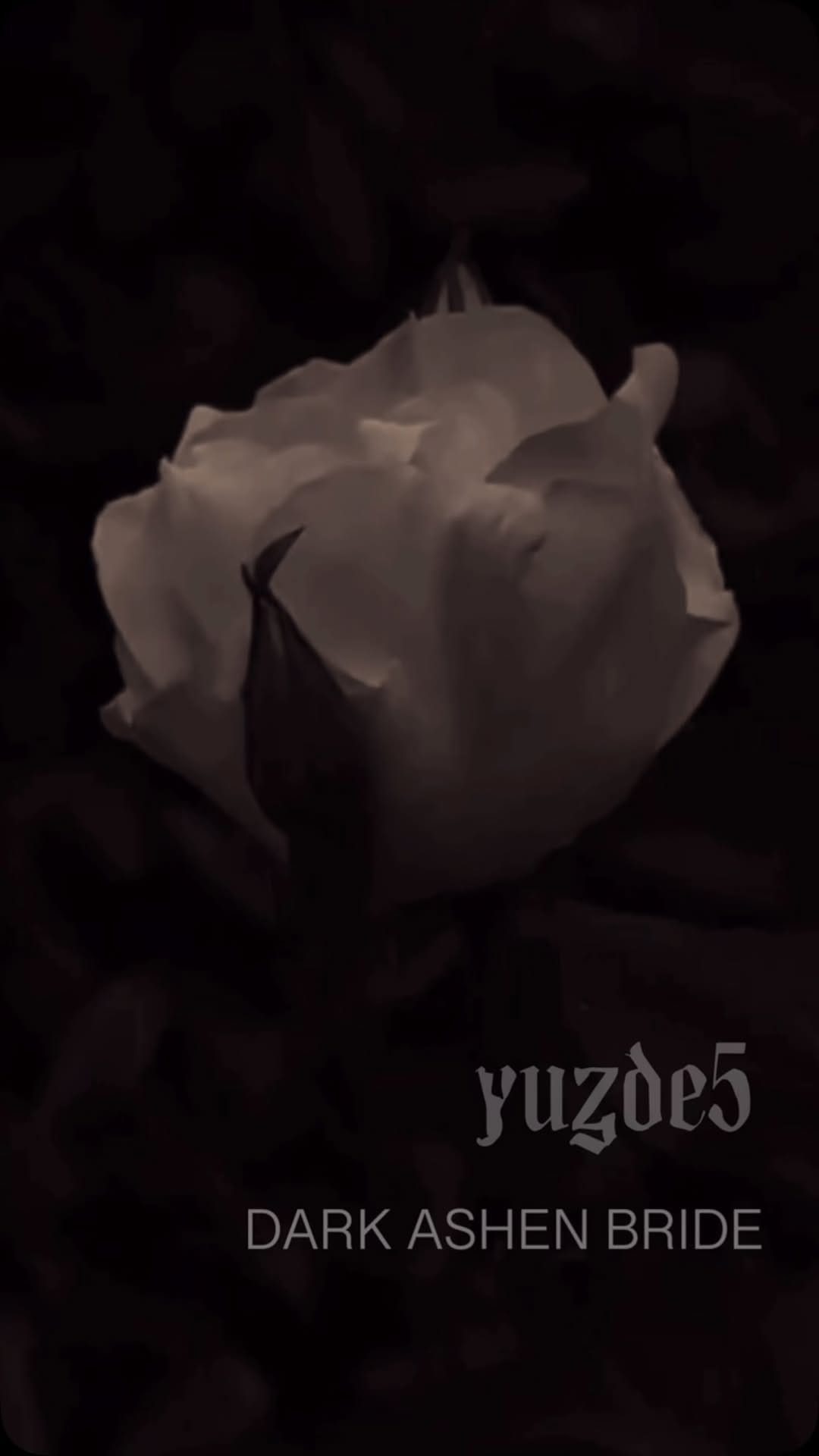 Post 7 by YUZDE5 on Instagram (video)