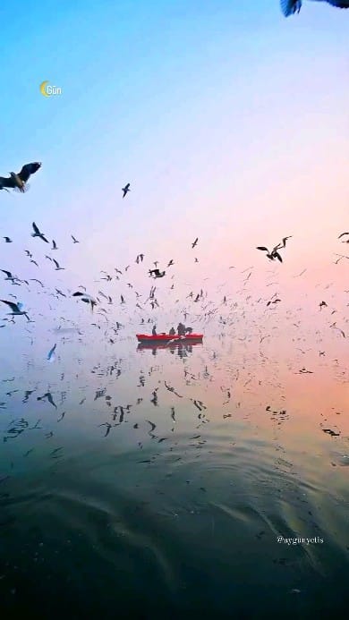 Post 7 by AyGün Yetiş ®️ on Instagram (video)