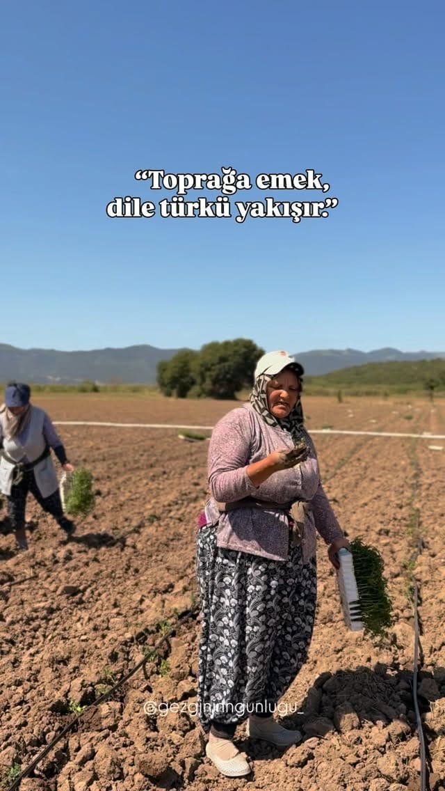Post 5 by Gezginin Günlüğü on Instagram (video)