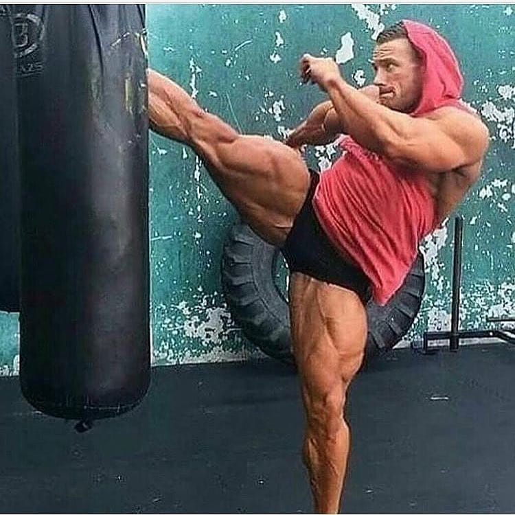 Post 5 by Gainz & Veins on Instagram (image)